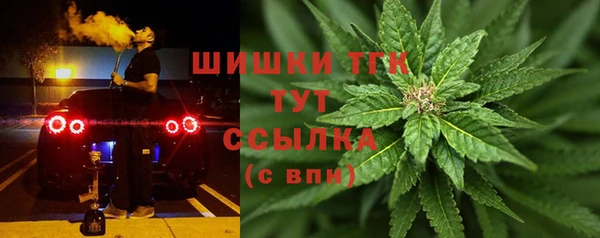 ПСИЛОЦИБИНОВЫЕ ГРИБЫ Дмитров