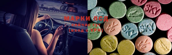скорость Дмитриев