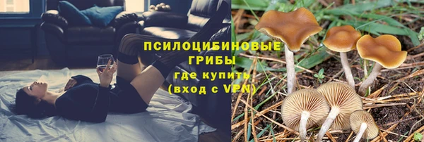 ПСИЛОЦИБИНОВЫЕ ГРИБЫ Дмитров