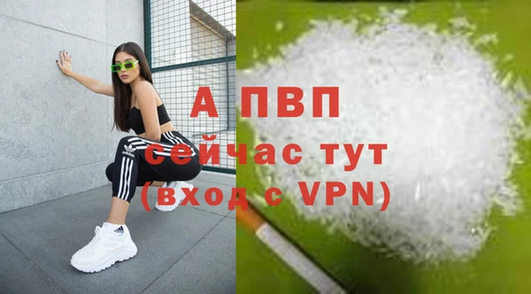 ПСИЛОЦИБИНОВЫЕ ГРИБЫ Дмитров