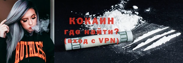 ПСИЛОЦИБИНОВЫЕ ГРИБЫ Дмитров