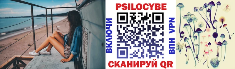 Галлюциногенные грибы Cubensis  Тихвин 