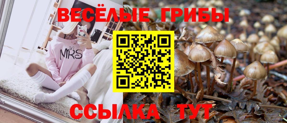 Псилоцибиновые грибы GOLDEN TEACHER Тихвин