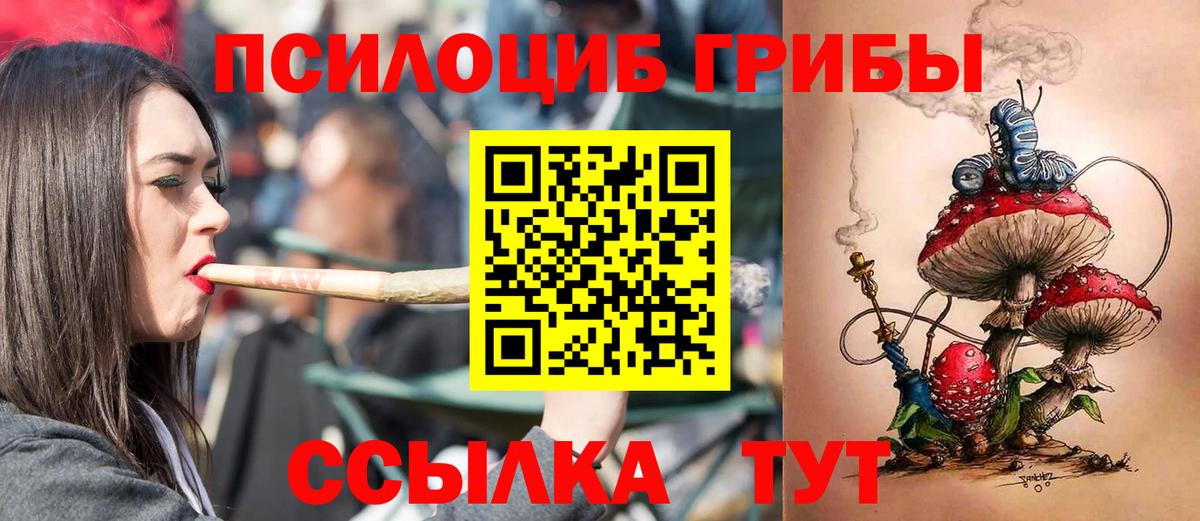 Тихвин  Псилоцибиновые грибы прущие грибы  Вход с VPN 