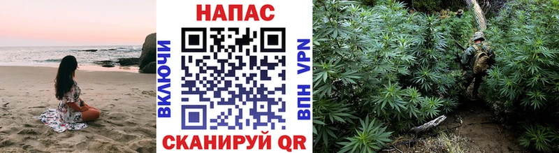 Бошки Шишки сатива Тихвин