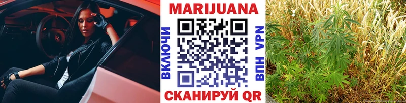Конопля гибрид Тихвин